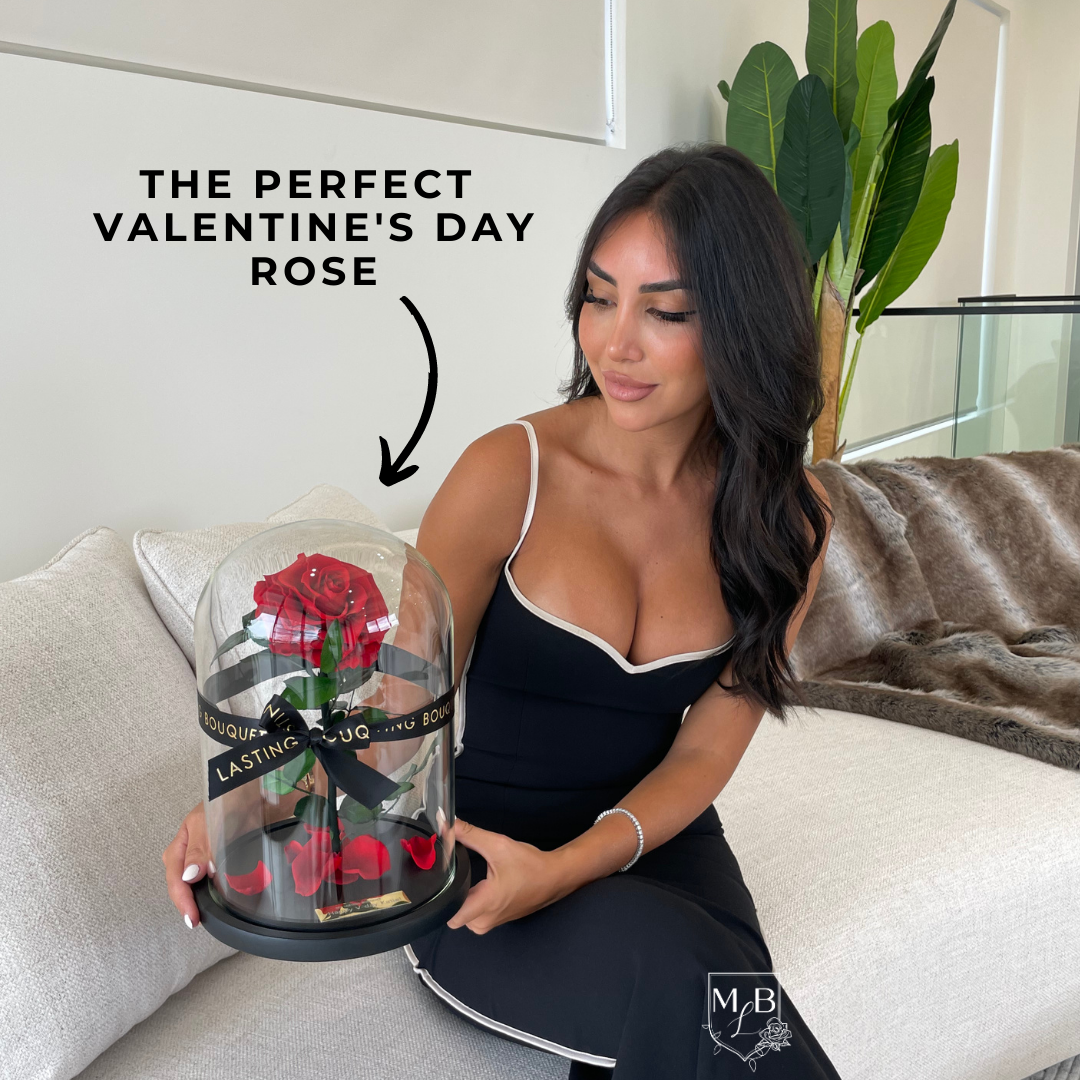 Rose Bear with Belle BUNDLE