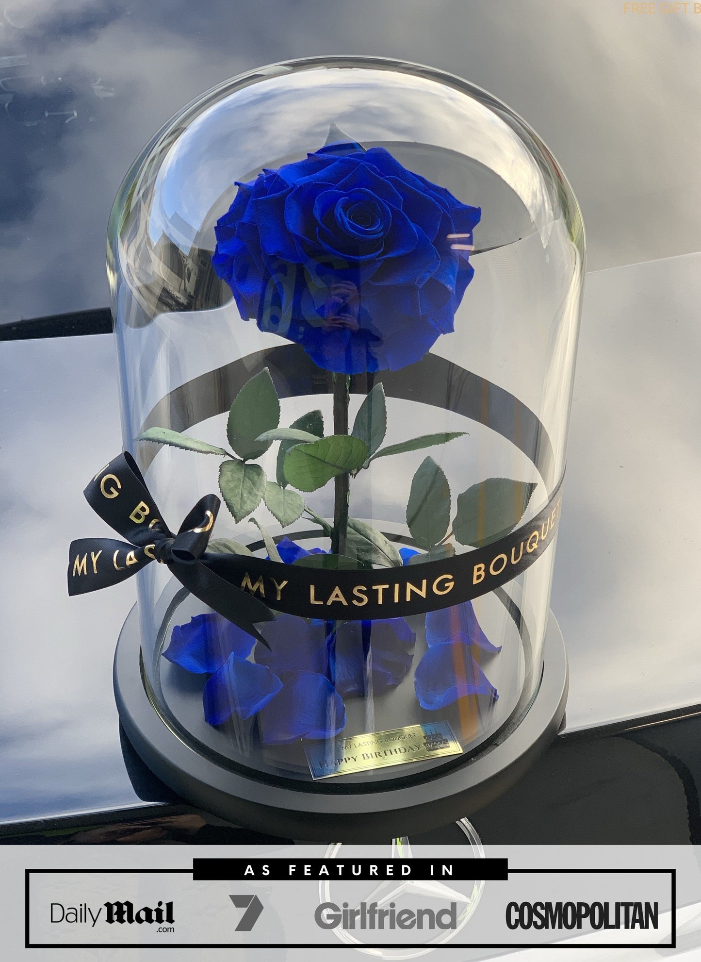 Midnight blue lasting Belle