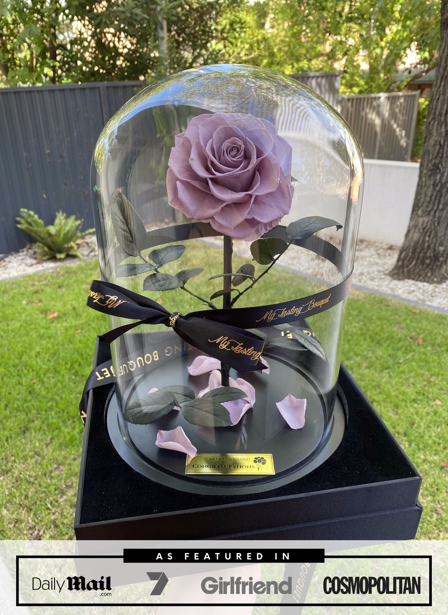 PASTEL PURPLE Lasting Belle