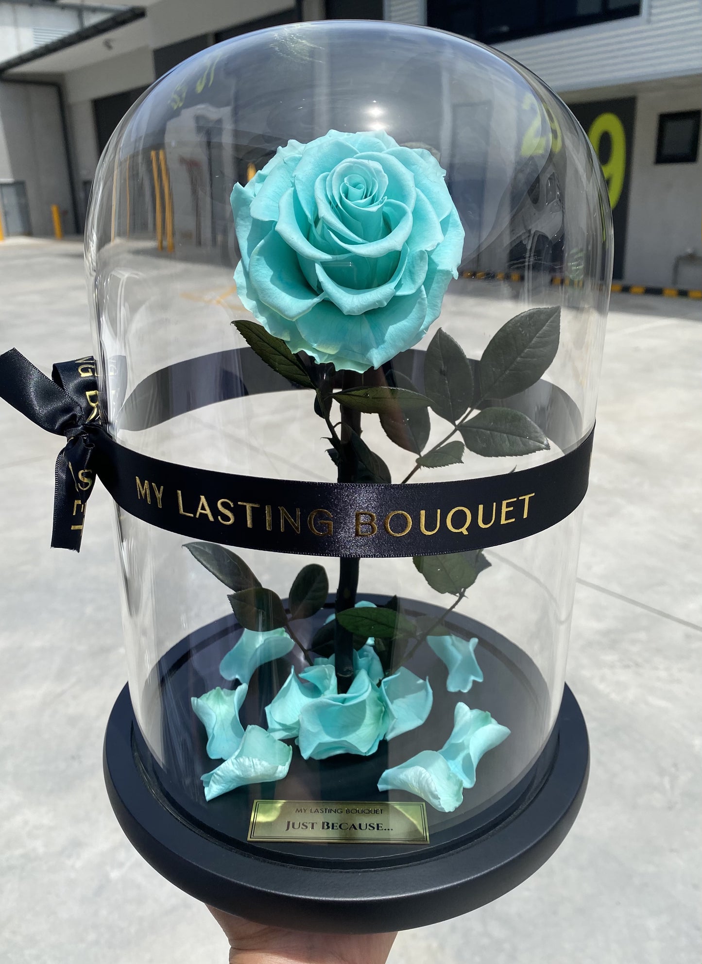 Tiffany Lasting Belle