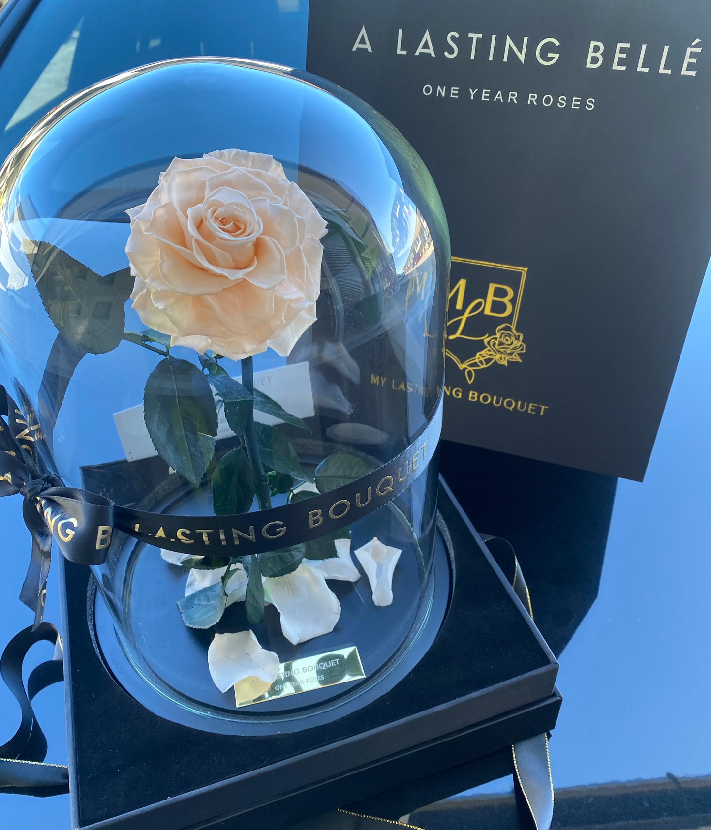 Champagne Lasting Belle - My Lasting Bouquet