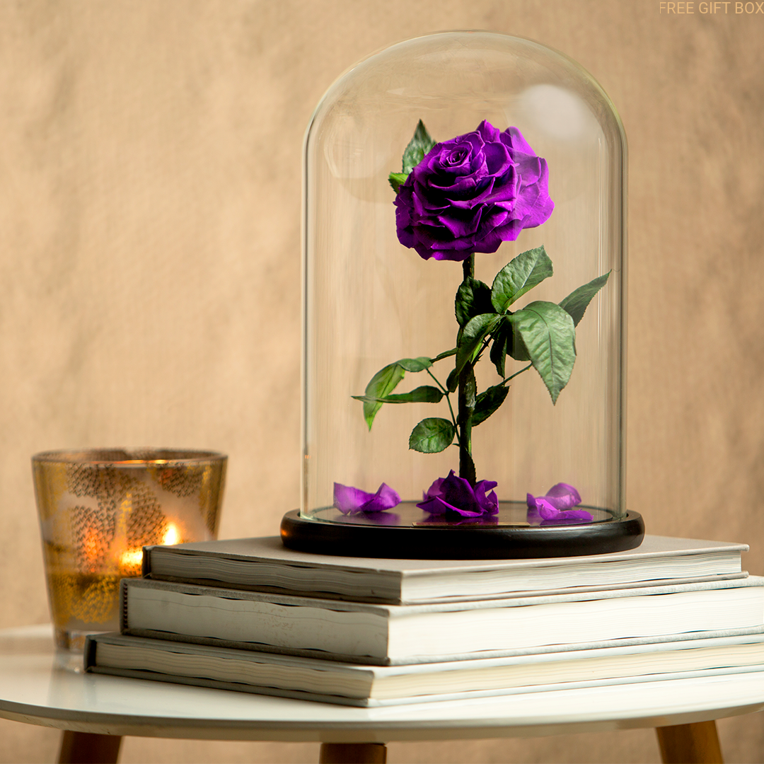 ROYAL PURPLE Lasting Belle