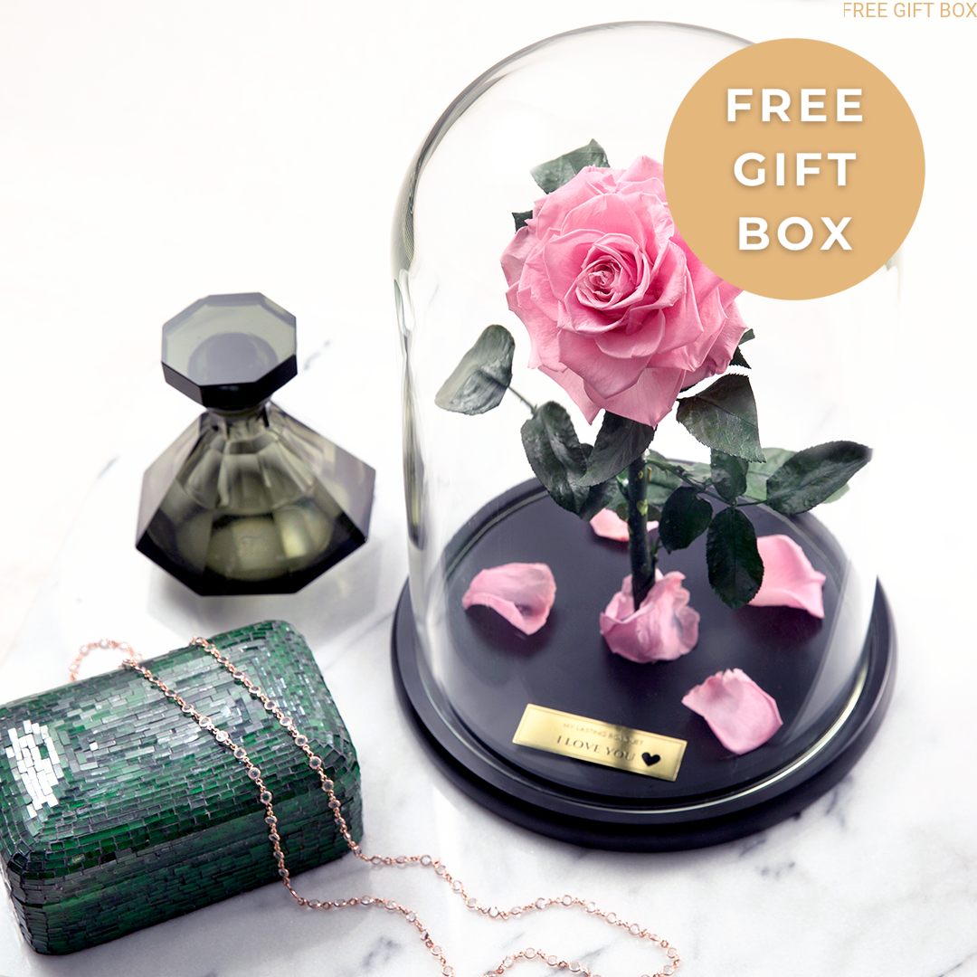 Buy Pink lasting belle