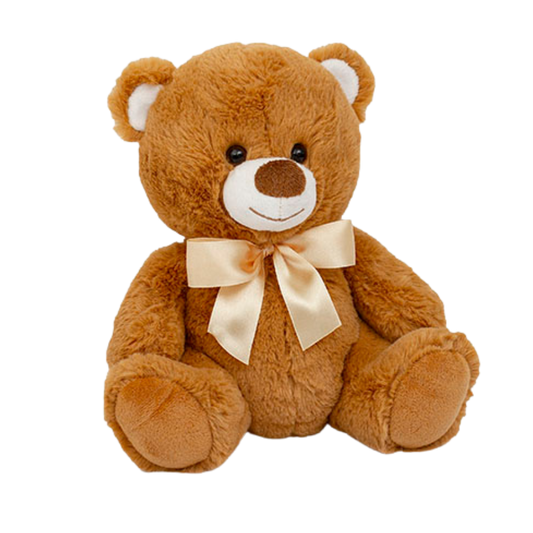 Troy Plush Bear