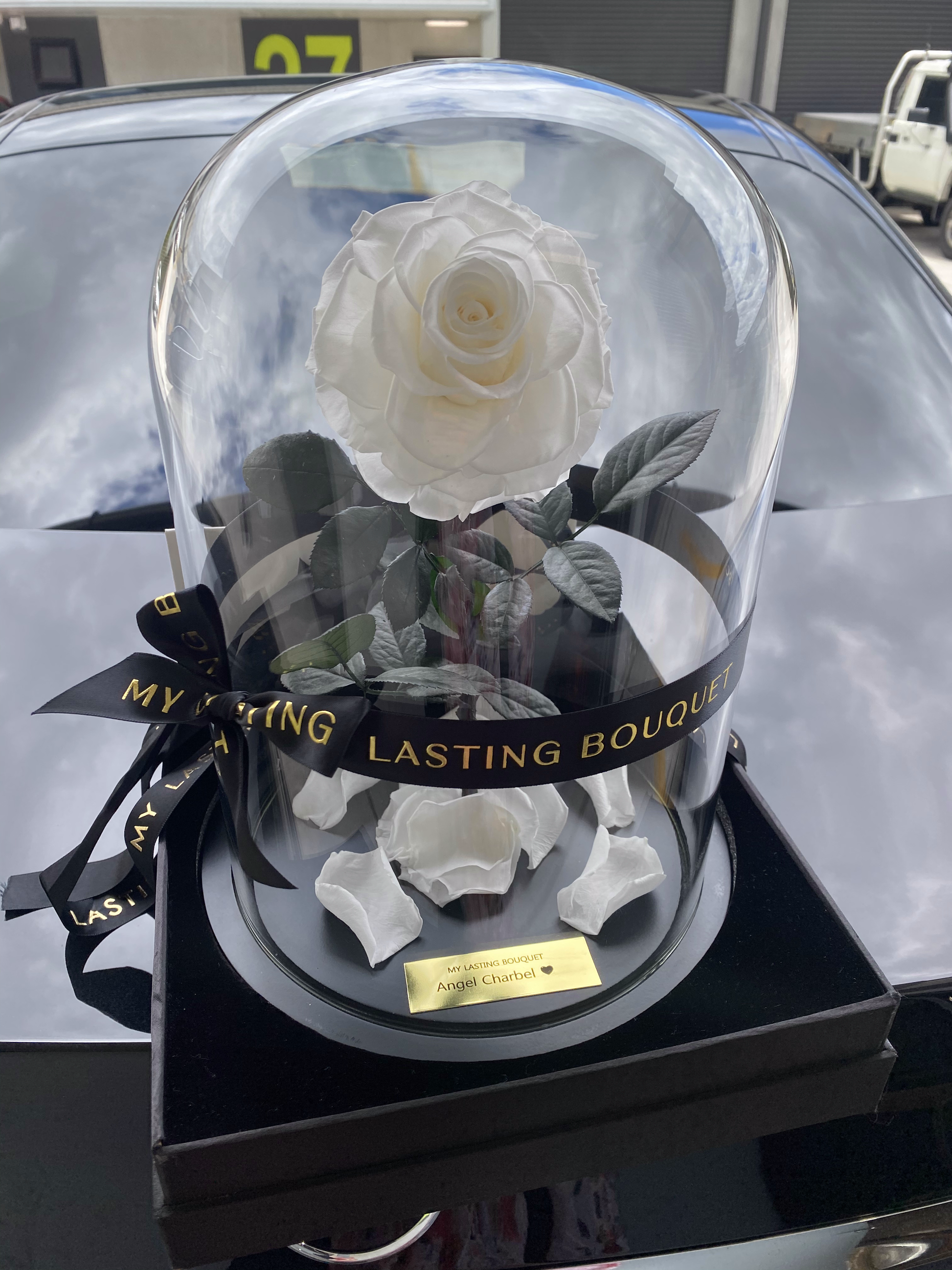 White Lasting Belle - My Lasting Bouquet