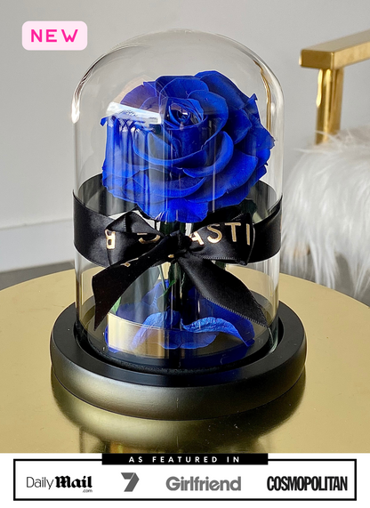 Midnight Blue Mini Rose Dome